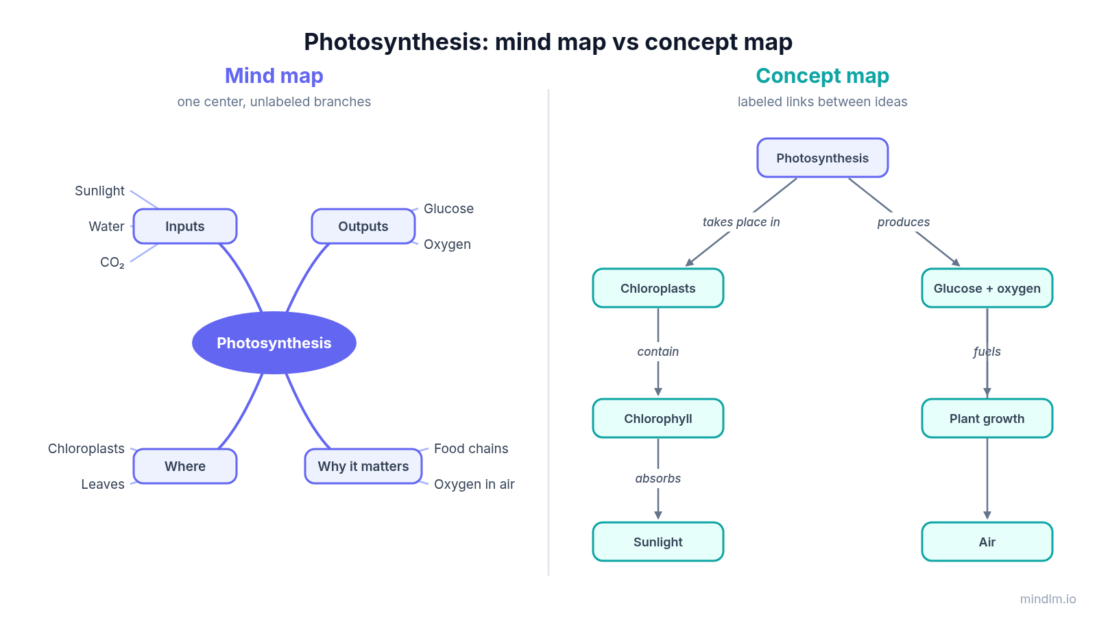 Side-by-side comparison of a mind map and a concept map about photosynthesis