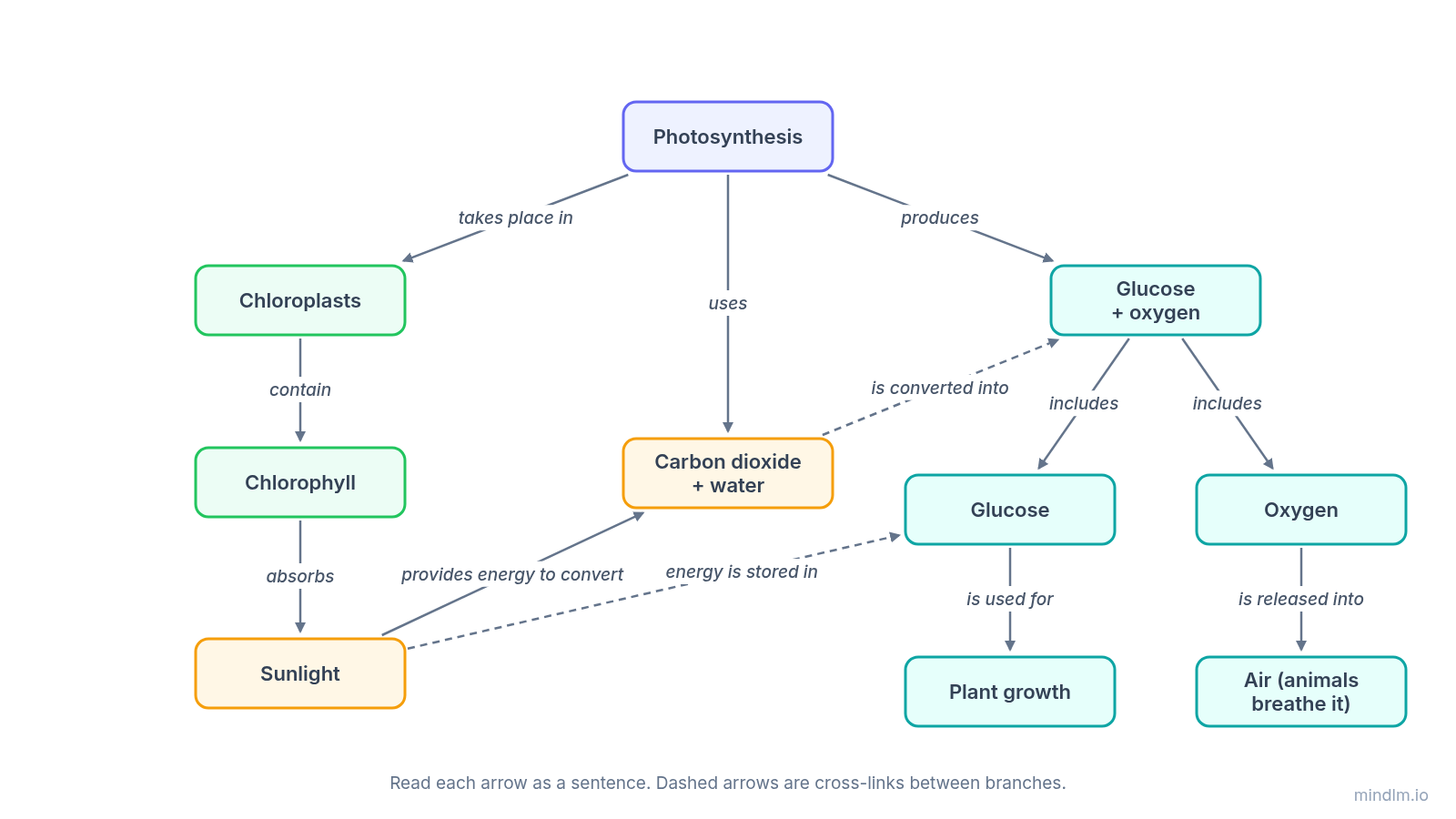Concept map of photosynthesis with labeled arrows such as "takes place in" and "produces"