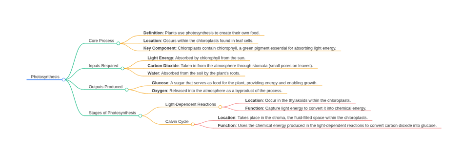 Mind map generated in MindLM from a textbook passage on photosynthesis