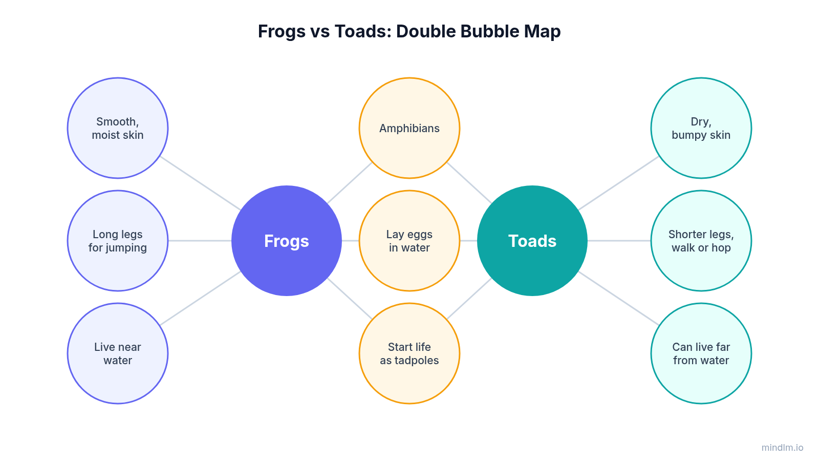 Double bubble map with two center circles, shared traits between them and unique traits on each side